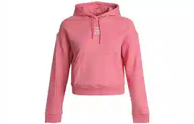 adidas neo W Ce+ Swt Hdy