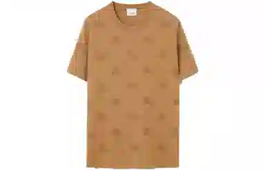 Burberry T