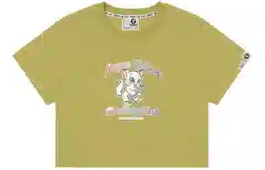Aape T