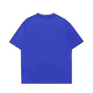 LISENPOK T
