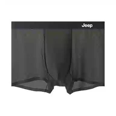 Jeep 1