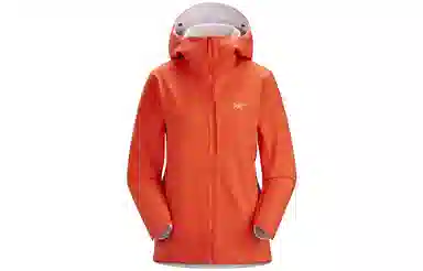 Arcteryx GAMMA Mx Hoody