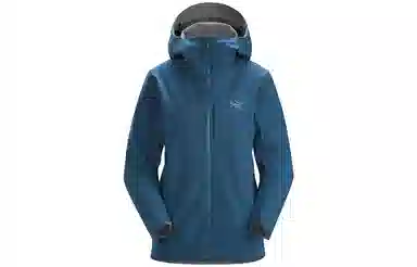 Arcteryx GAMMA Mx Hoody