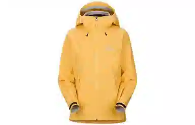Arcteryx Beta LT Jacket