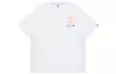 Aape T