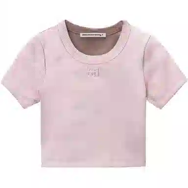 alexander wang T