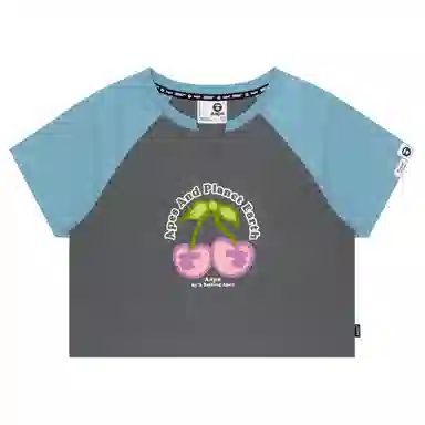 Aape T