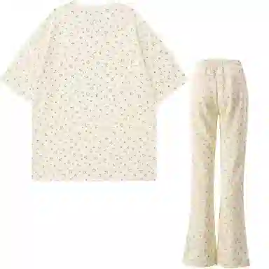 FOASIS T