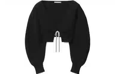 alexander wang SS23 V