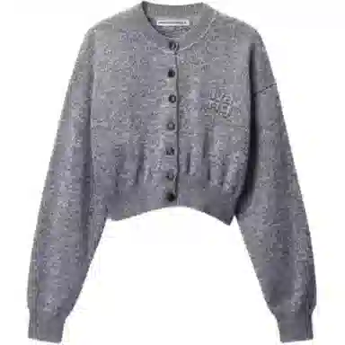 alexander wang FW24 logo