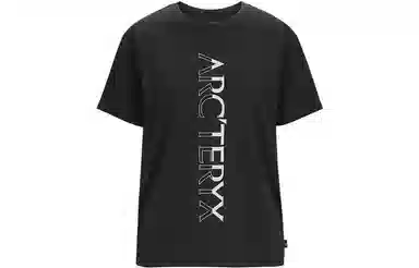 Arcteryx Downword Ss T
