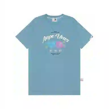 Aape T