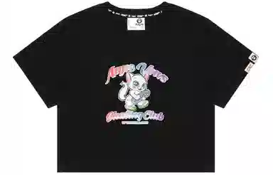 Aape T