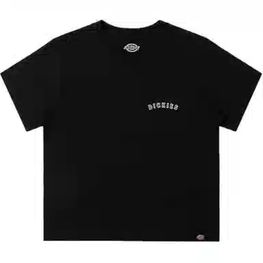 Dickies SS24 T