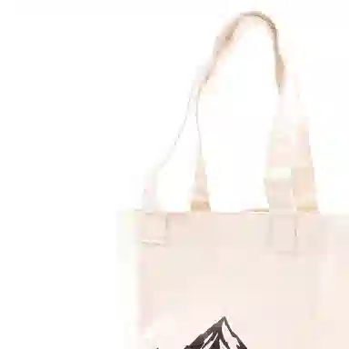 THE NORTH FACE 17L Tote