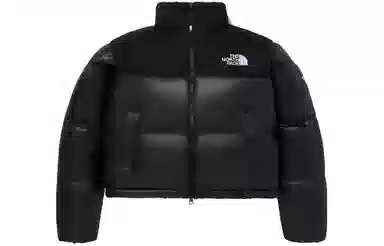 THE NORTH FACE W's Novelty Nuptse Down Jacket
