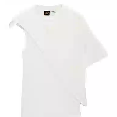 LOEWE Paula's Ibiza SS25T