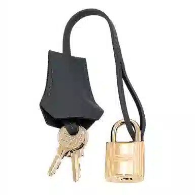 HERMES Birkin 25 H0 Gris misty SwiftToile H