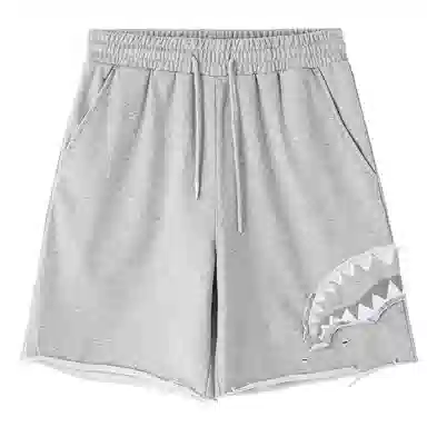 Sprayground Shorts