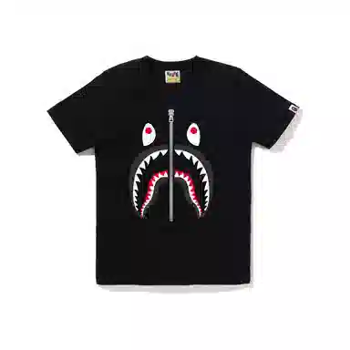 A BATHING APE FW24 T