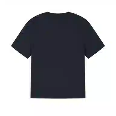 Palladium VINTAGE T
