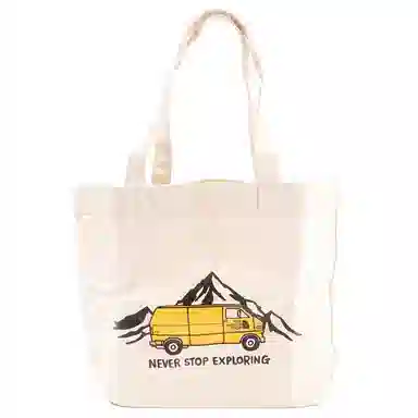 THE NORTH FACE 17L Tote