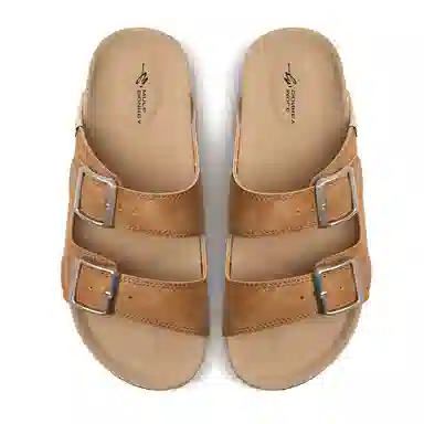 Mule Donkey Desert Brown