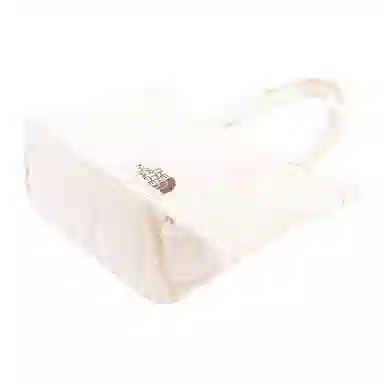 THE NORTH FACE 17L Tote