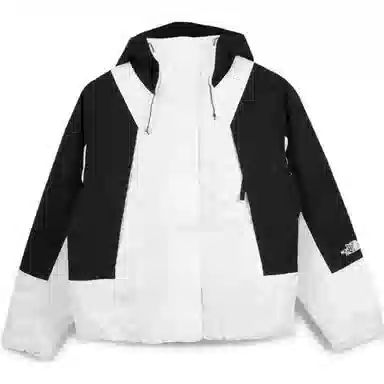 THE NORTH FACE Mountain Light Dryvent