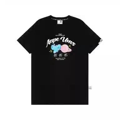 Aape T