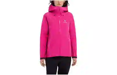 Arcteryx Beta LT Jacket