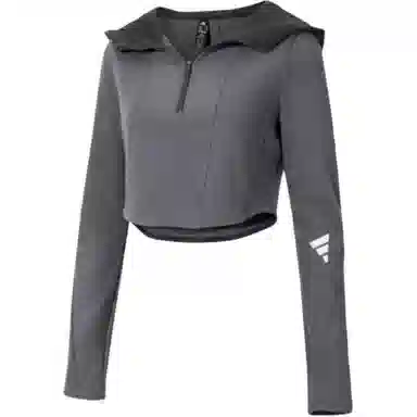 adidas FW24 FUSTL W P HDY