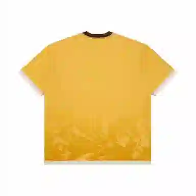Aape SS25 T IVX