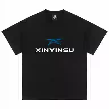 XINYINSU T