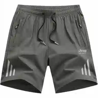 JEEP SPIRIT Logo Stripe Shorts