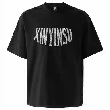 XINYINSU T