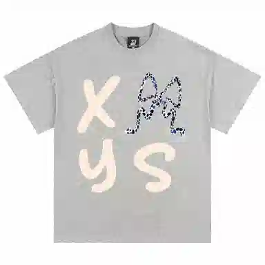 XINYINSU T