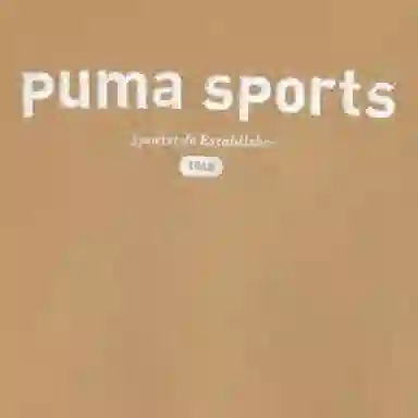 PUMA TEAM GRAPHIC TEE T