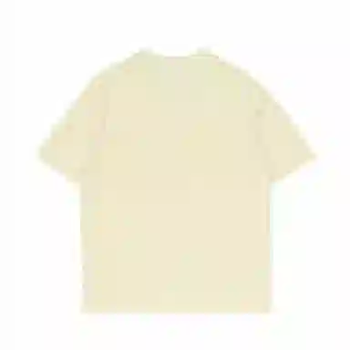 LISENPOK T