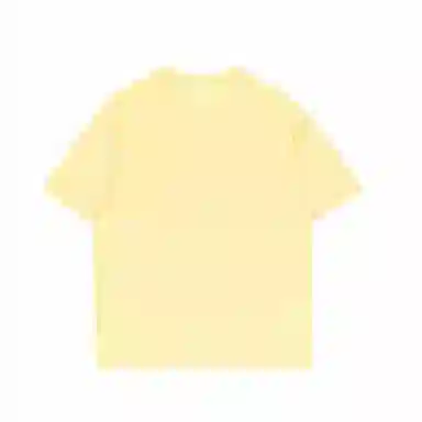 LISENPOK T