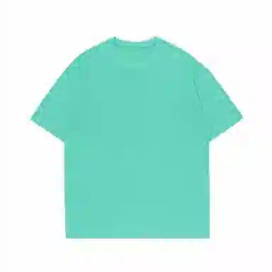 LISENPOK T