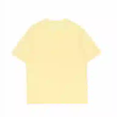 LISENPOK T