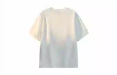 MANYSTON T