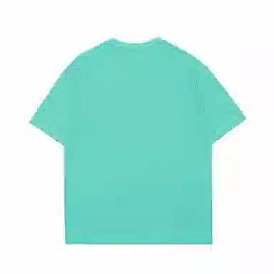 LISENPOK T
