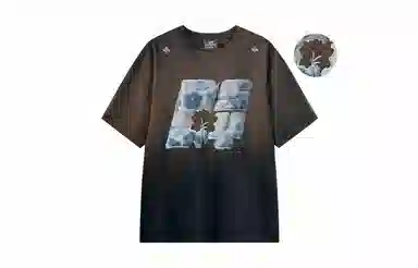 MANYSTON T