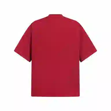 FDYZ T