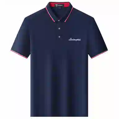 Automobili Lamborghini Polo