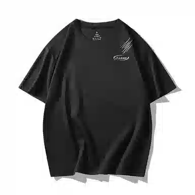 LISENPOK T