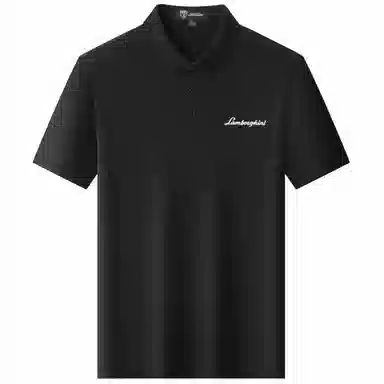 Automobili Lamborghini logoPolo