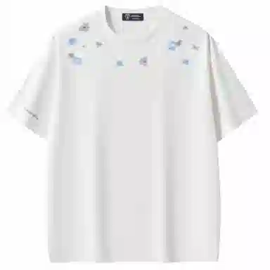 Automobili Lamborghini T